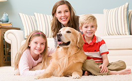 Home Health
Study Home-Health-Study